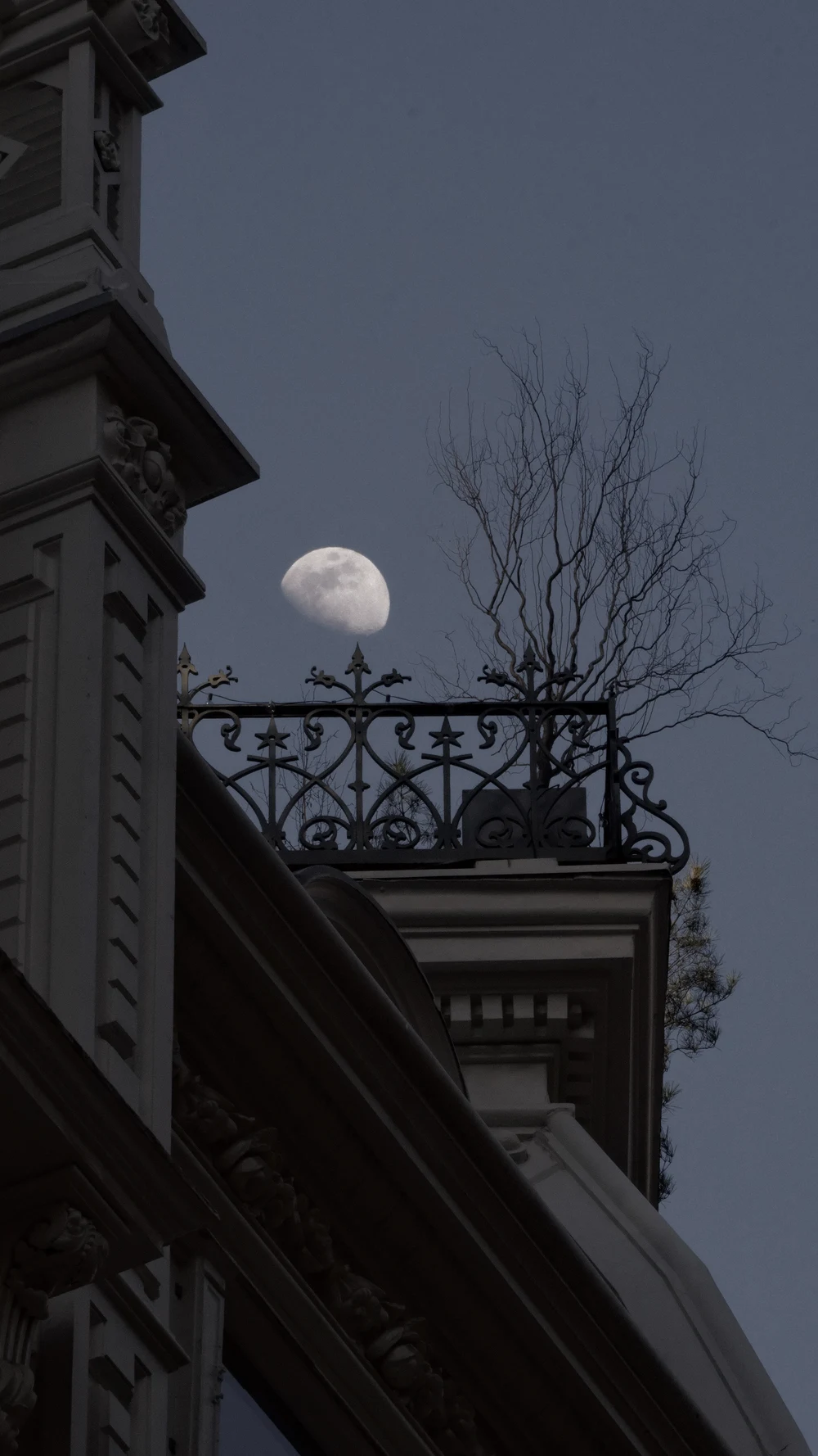 The MOON — photo 2