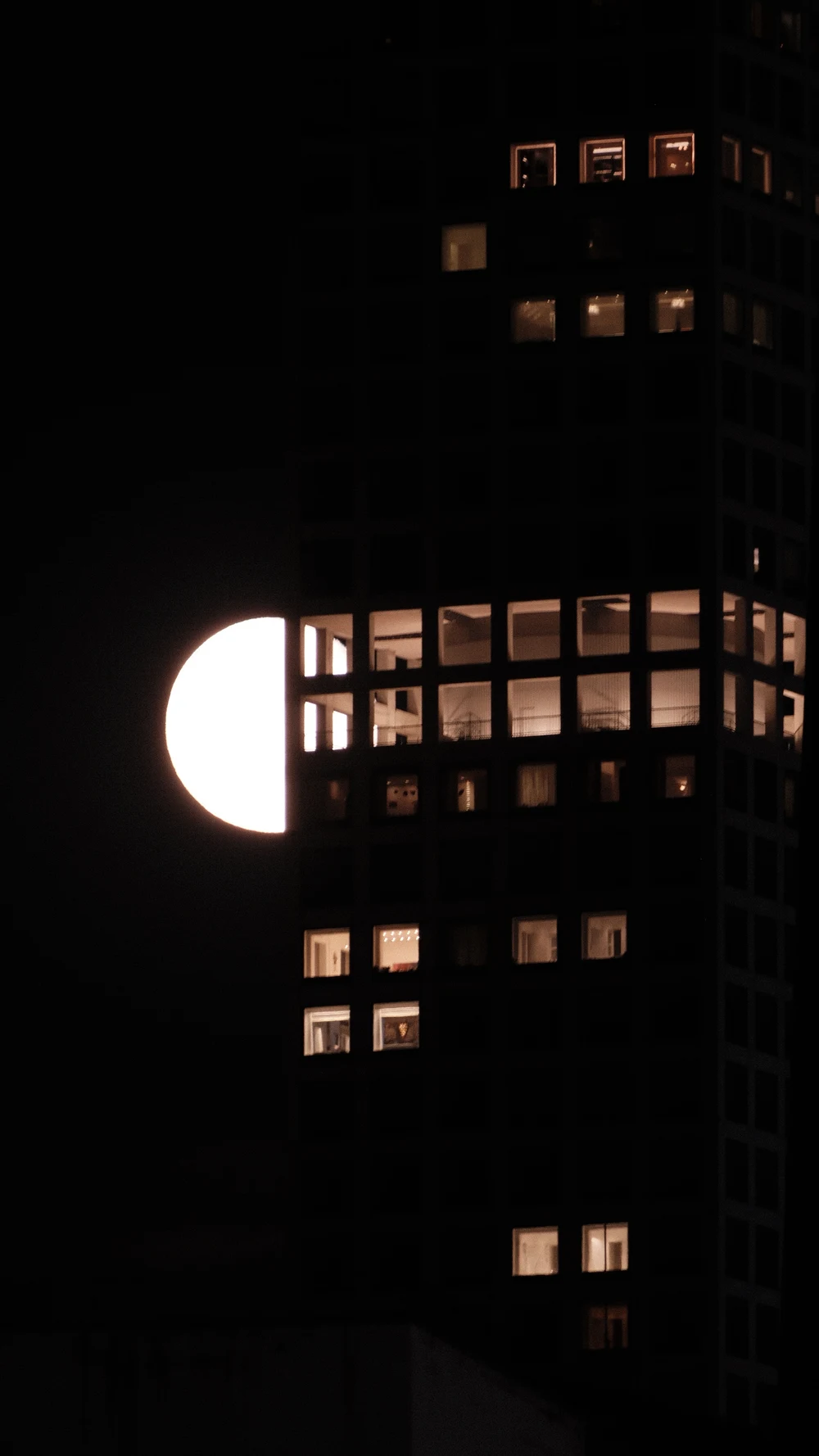 The MOON — photo 4