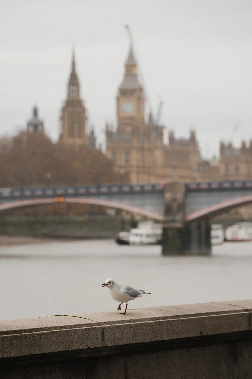 London — photo 1