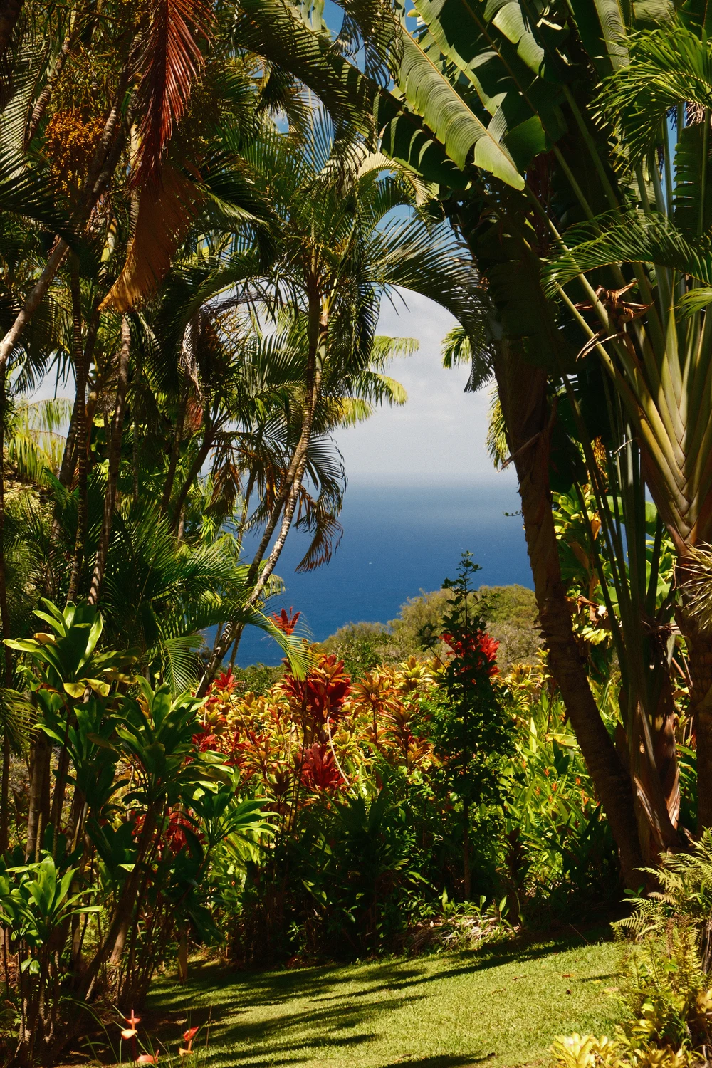 Oahu — photo 7