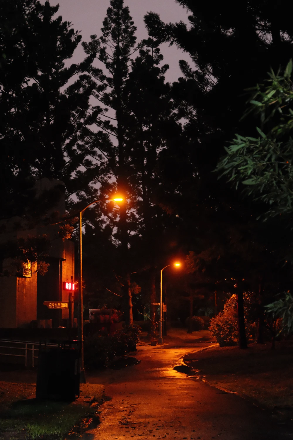 DSCF4936.JPG